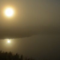 Утренний туман :: Вера Андреева