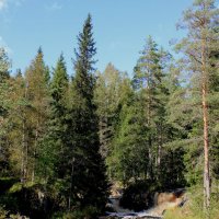 КАРЕЛИЯ. Рускеальский водопад :: Наталья Лунева 