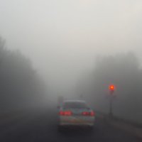 Туман :: Константин Шабалин