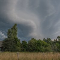 Тучи ходят, тучи бродят.. :: Андрей Костров