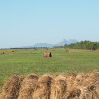 Сезон закрыт :: Вадим Романович