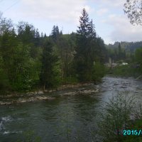 Горная   река   в  Ворохте :: Андрей  Васильевич Коляскин