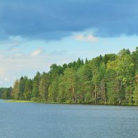 Осеннее настроение :: Николай Танаев