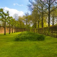 Keukenhof :: Юрий Ващенко