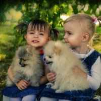 Фотосессия со щенками :: Яна Краснова