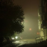 Туманным вечером... :: Дмитрий Костоусов