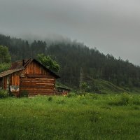 Заброшенная хижина :: Виктор Четошников