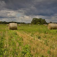 Начало осени :: Константин 