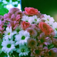 Flowers :: Константин Борисов