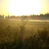 восход :: Александр Пыхтеев