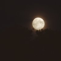 Луна :: Владимир Зайцев