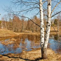 Весна :: Николай Андреев