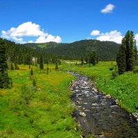 &quot;саяны,горная речка&quot; :: Светлана 