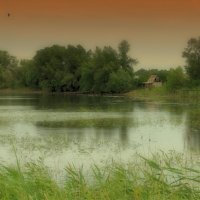 на озере :: Андрей Куницын