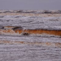 Белое море - шторм. :: Елена Третьякова