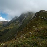 Альпийские луга Кавказа :: Kogint Анатолий