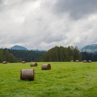 утро :: Андрей Данилов