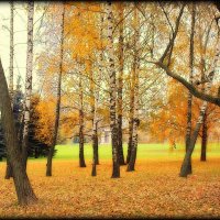 Осень :: Михаил Цегалко