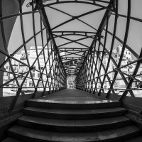 bridge :: Dmitry Ozersky