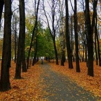 БРОДИТ  ОСЕНЬ  В  СТАРОМ  ПАРКЕ... :: Галина 