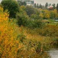 Санкт-Петербург - Парк Городов-Героев. :: Валентина Лазаренко