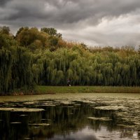 собачья погода :: Moscow.Salnikov Сальников Сергей Георгиевич