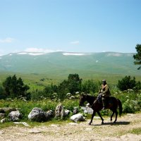 Кавказский заповедник. :: Надежда 