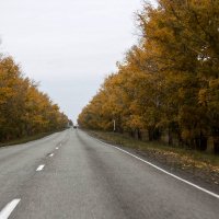 По  дороге  в  Абазу :: Виктор 