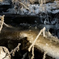 Травы. На разных берегах :: Алексей (АСкет) Степанов