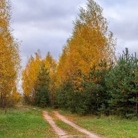 Осень :: Юрий Бичеров