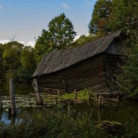 Убежала избушка :: Александр 