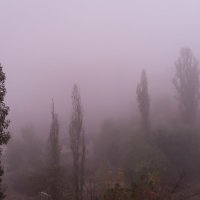 Сиреневый туман.... :: Инга Мысловская
