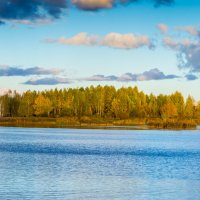 Лесное озеро. :: Владимир Лазарев