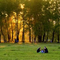 Щедрый на золото майский закат :: Екатерина Торганская