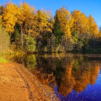 Осеннее озеро :: Анатолий 