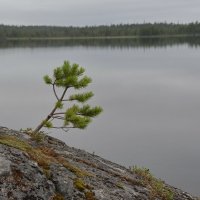 На скалах :: Владимир Брагилевский