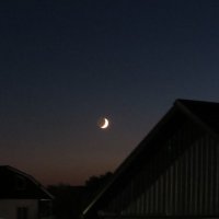 Ночь, луна :: Вера Щукина