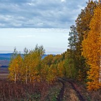 - :: Игорь Александрович Оренбург