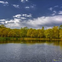 прогулка :: Moscow.Salnikov Сальников Сергей Георгиевич