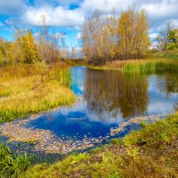 Краски осени :: Любовь Потеряхина