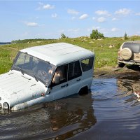 "Лебедь", "Рак" и "Щуки" нет... :: Дмитрий Петренко