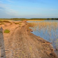 Коса на Большом Рогозере :: Владимир Брагилевский