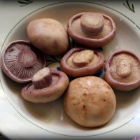 Рядовка фиолетовая - отличный гриб для засолки и маринования :: Андрей Заломленков