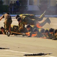 НВИ.Показательные выступления. :: Светлана Винокурова