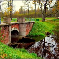 В Баболовском парке  /13/ :: Сергей 