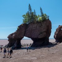 Прогулка по морскому дну у скал Hopewell Cape Rocks (Канада) :: Юрий Поляков