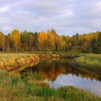 Осень золотая в зеркале реки :: Павлова Татьяна Павлова