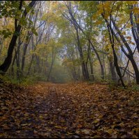 Осень :: Алексей Патлах