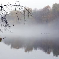 Октябрь :: Михаил Бибичков