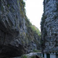 Юпшарский каньон, Абхазия :: Нелли *